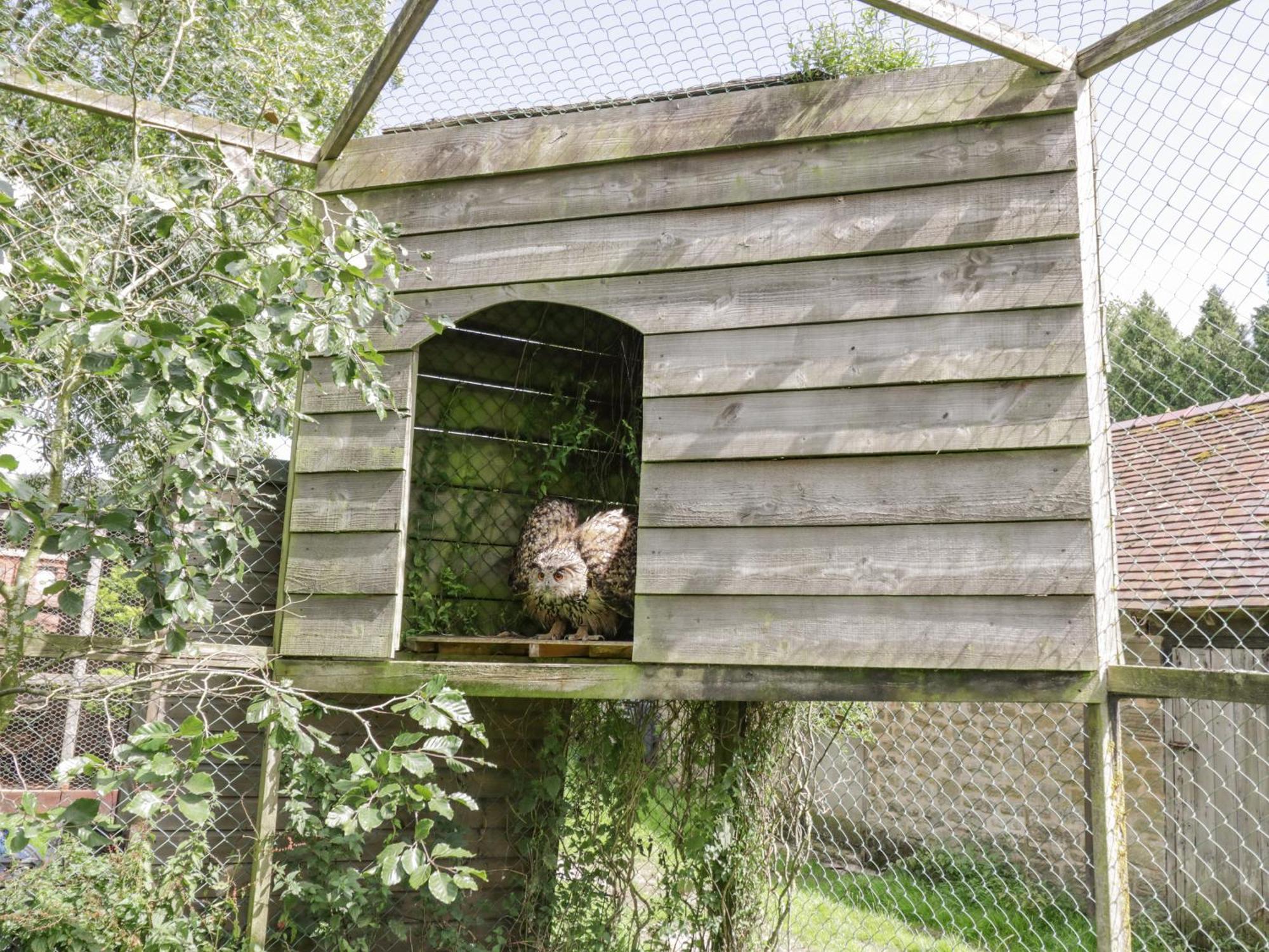 Kite'S Nest Eaton (Shropshire) Exterior foto